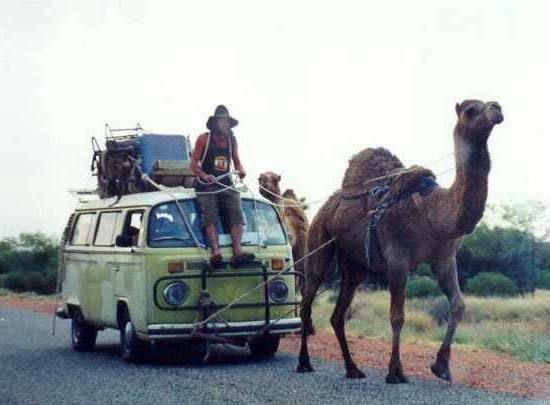  Camel Tow