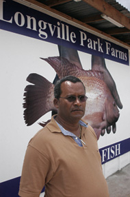 Donnie Bunting got the inspiration for his fish farm in Jamaica from a 1978 visit to a red telapia farm in Florida that had been introduced to him by a US peace corps worker in Jamaica