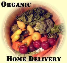 Comoros RPCV Jeff Barry founded Boston Organics 