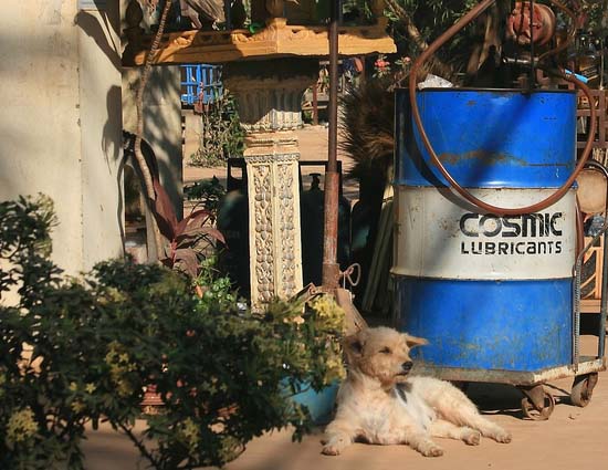 Peace Corps Volunteer Kampuchea1 writes: Night Rider