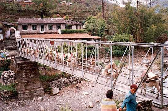 1987: 	John Ford Roberts served as a Peace Corps Volunteer in Nepal in Baglung beginning in 1987