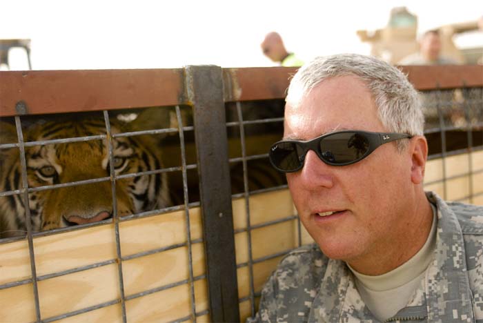 Senegal RPCV Rajiv Joseph's 'Bengal Tiger at the Baghdad Zoo' is already generating positive buzz